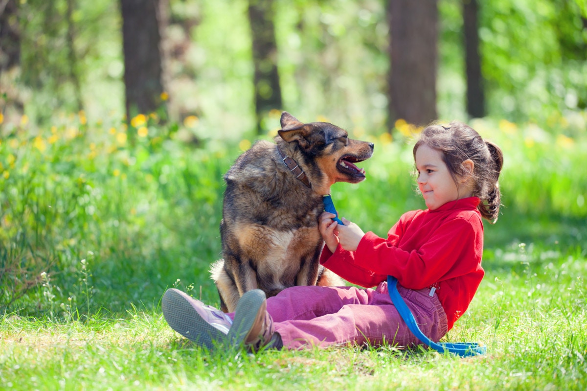 ペットが子供に与える影響って 感受性との関連性や体験談まとめ ママリ