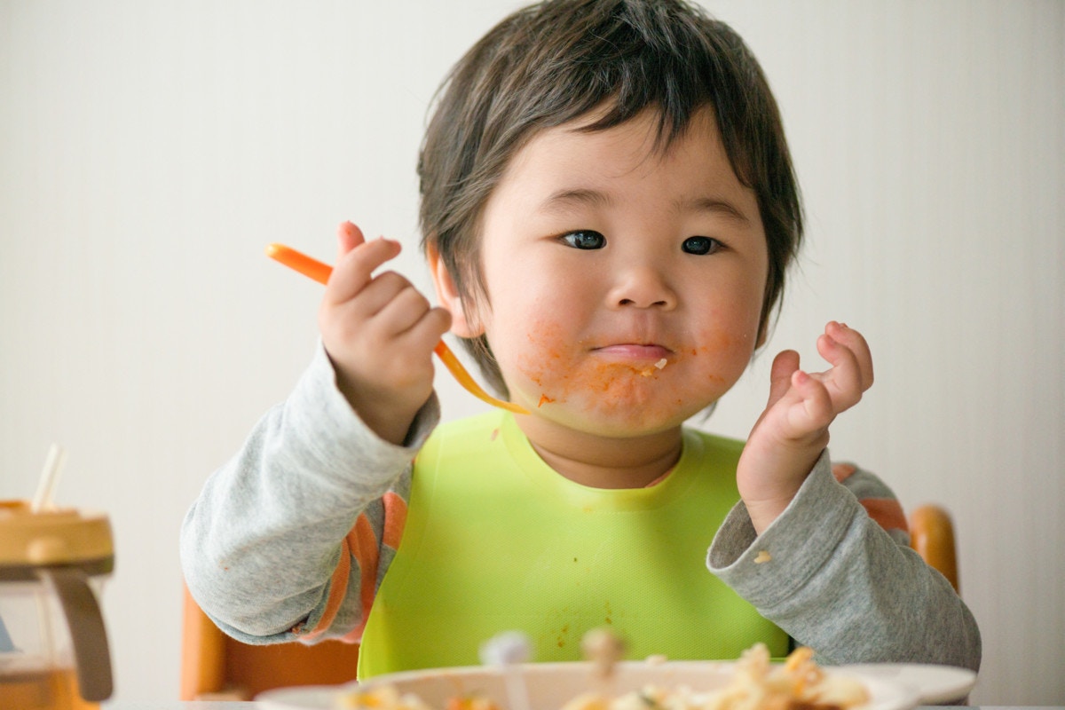 2歳児のための幼児食レシピ ささみも簡単おいしく おすすめ4選 ママリ