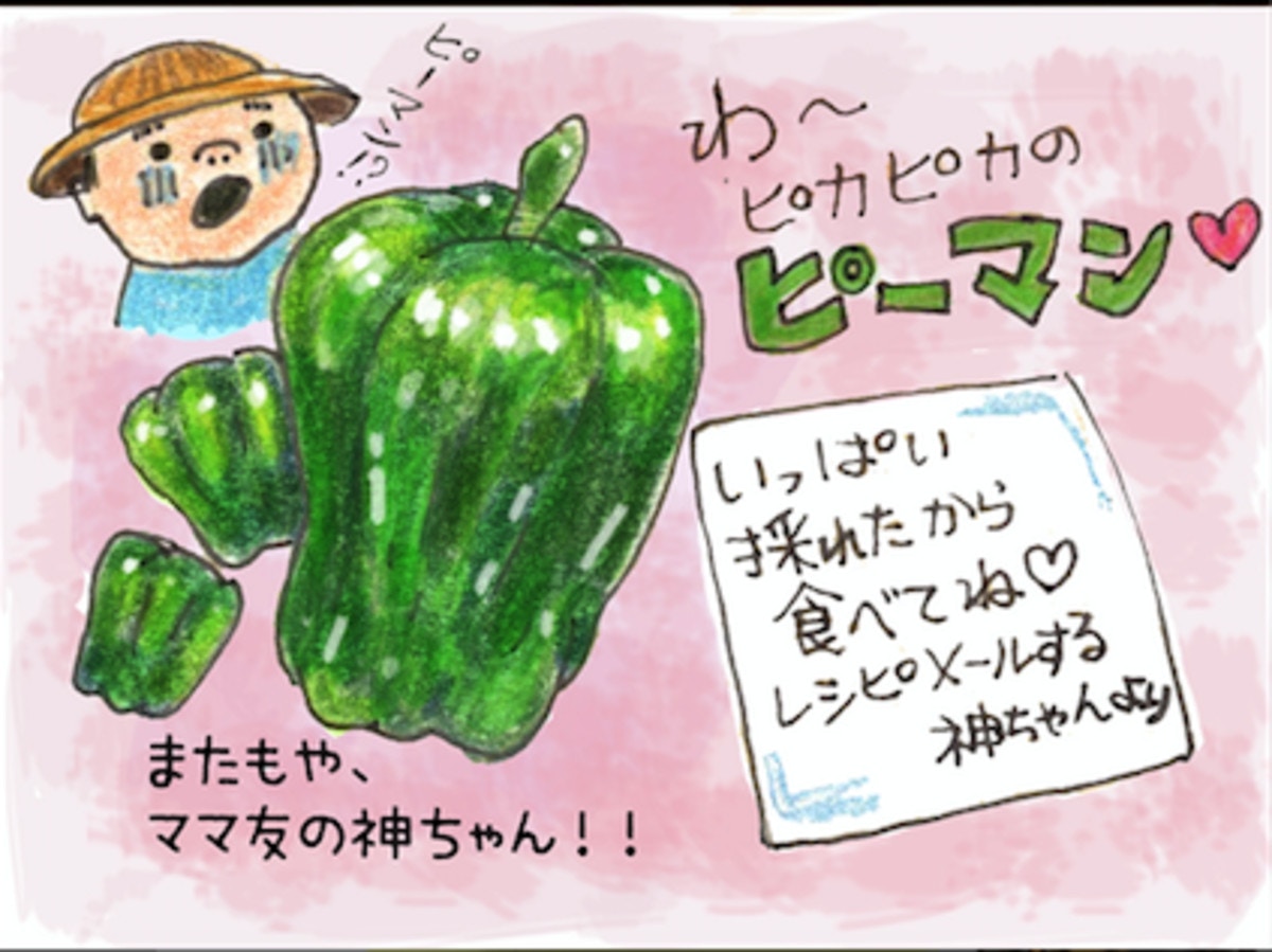 パパッと完成 野菜たっぷりお助けレシピ ピーマン編 ママリ