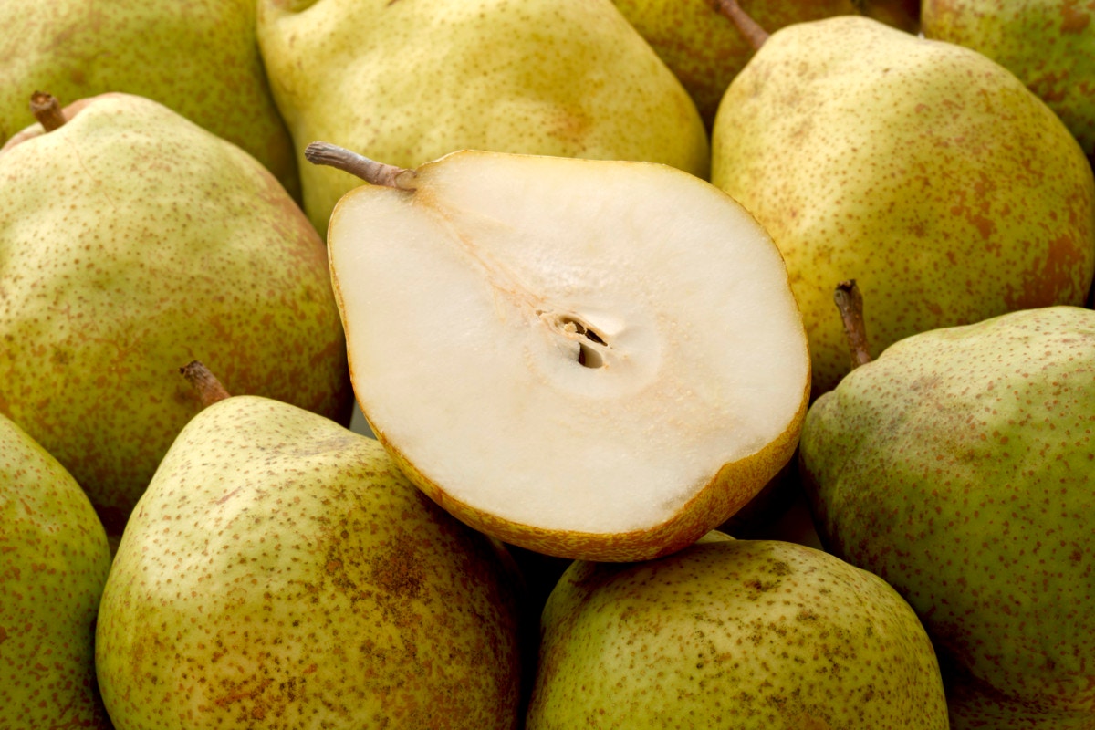 スタバ18秋の新作第1弾が登場 キャラメルと洋梨のハーモニーを堪能 ママリ