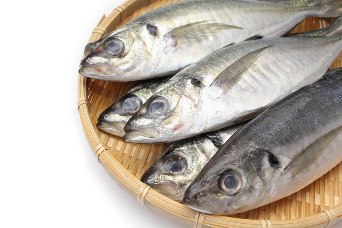 離乳食期の魚はいつから 離乳食初期 中期 後期で食べられる魚のレシピご紹介 ママリ