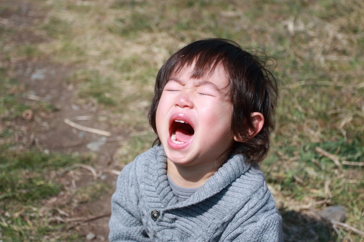 成長とわかっているけれど つらい 子供のイヤイヤ 他のママはどう対処しているの ママリ