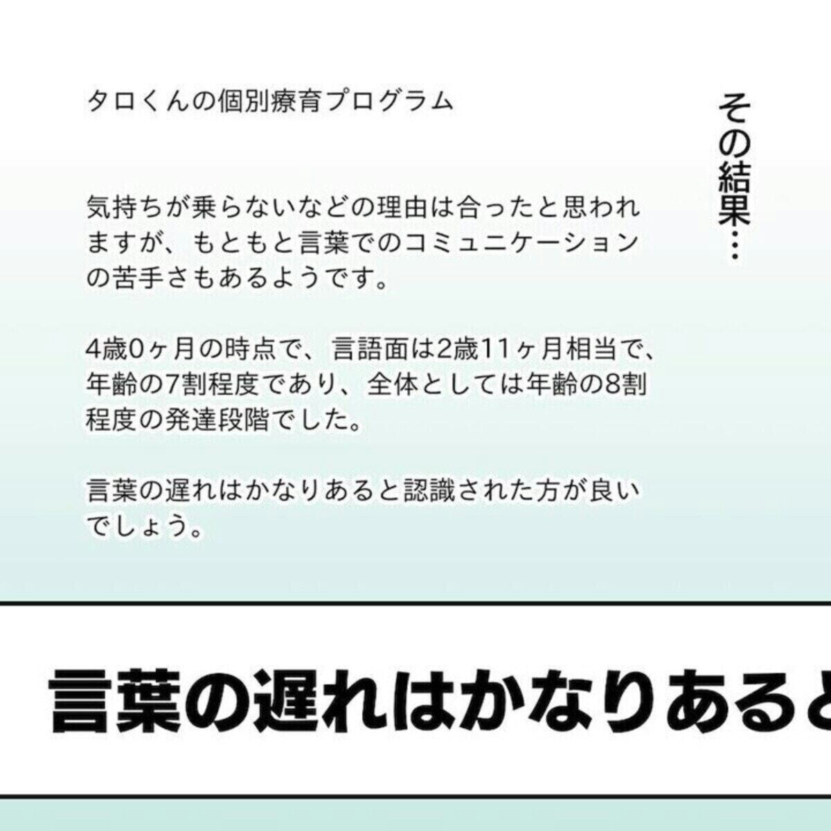 長男の発達検査の結果は 療育相談センターに通っていたときの話 4 ママリ