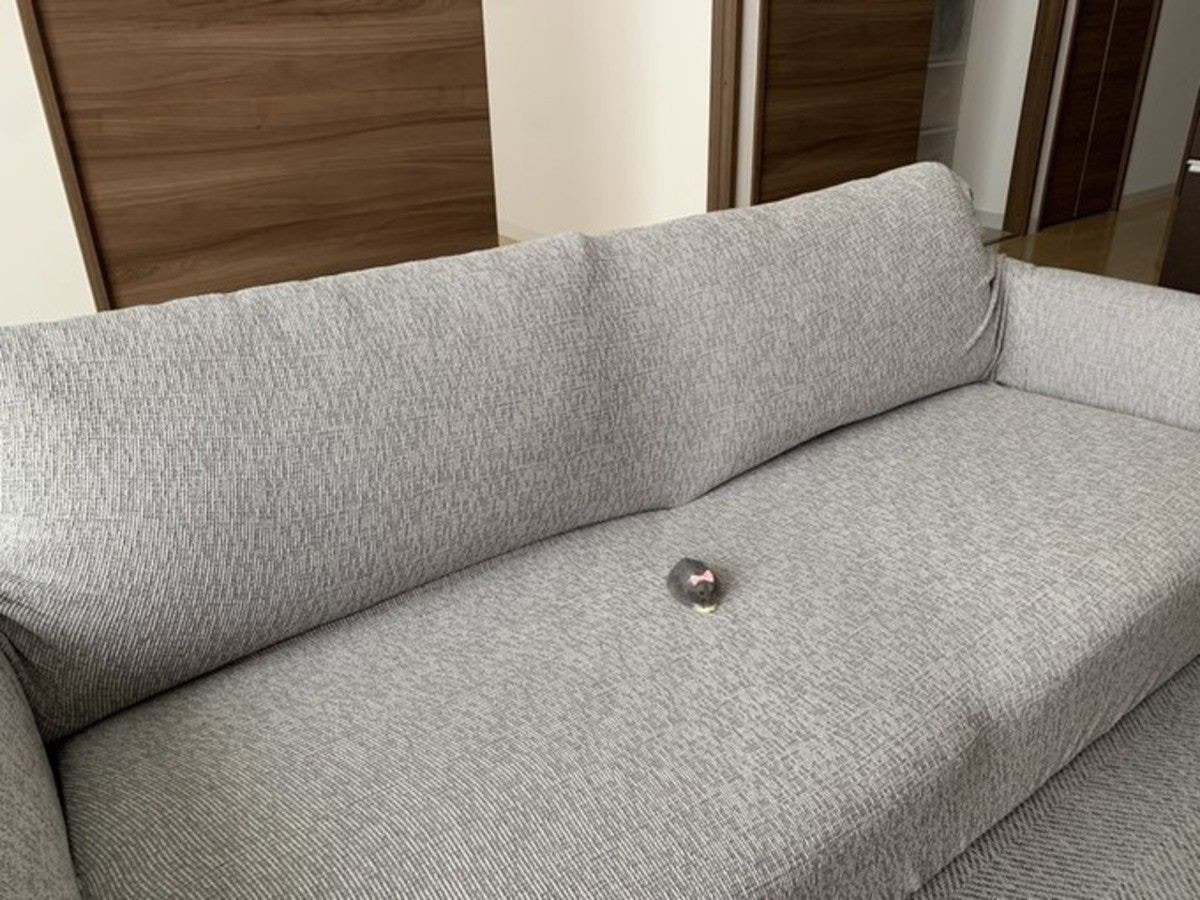 母の日ギフト 巨大ペット巣人間もOK リビング寝室用 Lazy ソファ