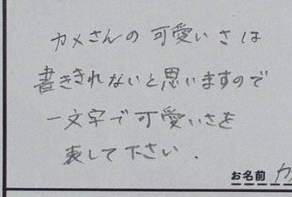 カメのかわいさを1文字で表して」質問箱への【神回答】に6万いいね