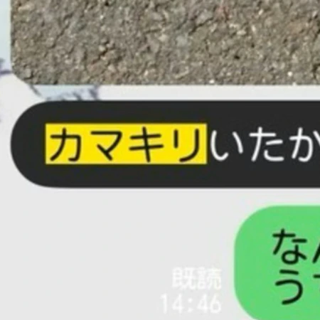 虫好き男子なのかと思ったら→友達時代の夫が【カマキリ】送ってきた理由にほっこり♡