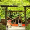 戌の日に行きたい！安産祈願で有名な京都の神社5選