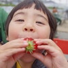 ポレポレ農園！千葉県君津市で子供と楽しめるおすすめの施設紹介