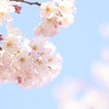 桜が咲くたび思い出す NICUに入った娘とのぼった7つの階段
