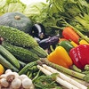 子供の食育調査結果から考える、野菜嫌いを克服するコツや考え方とは？