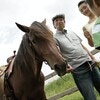 関東にある牧場をまとめて紹介！子どもと一緒に楽しめるおすすめ施設13選