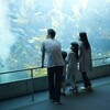 九州にある水族館をまとめて紹介！休みの日に水の中にすむ生き物に会いに行こう！