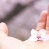 保育士解説【入園式】子ども＆ママ＆パパの服装は？ポイントを解説
