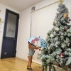 服装は真夏？クリスマスツリーに寄り添う2歳児に5100いいね「天才現る」「南半球のクリスマス」