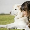 保護犬シェルター、愛ある言葉に10万いいね「健康ならいい」「happy dogは最高」