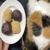 実物と並べたらそっくり！猫の背中模様に10万いいね「お見事」「食べちゃうぞ」