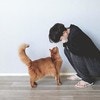 「今日もがんばれる？」猫と飼い主のハグに8.3万いいね「大好きが溢れてる」「関係性が尊い…」