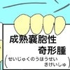 漢字が多い！診断結果は成熟嚢胞性奇形腫だった｜20代で片方の卵巣が半分になった話