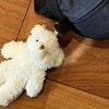 「卒業します」2児母が投稿、持ち歩きをやめたものに2千いいね「チャレンジャー」「すごい！」