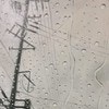 どうみても本物…！雨の日を描いた油彩画に15万いいね「写真かと」「車内から見た景色すぎ」