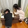 尊い～！猫好きっ子たちの寝る前ルーティーン「立派な猫吸い」に4万いいね