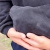 ポケットにスッポリ、かわいすぎる愛犬に3万いいね「気持ちよさそう」「ずっと見ていられる」