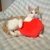 「この子は賢い」亡き愛猫が赤ちゃんに見せた、言葉を超える愛情に1万いいね「猫は言葉を理解している」