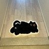 足元注意！マットに同化する猫の姿に7.9万いいね「ふ、踏んじゃいそう」「かくれんぼ上手」