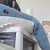 【悶絶級】サメに乗って爆睡する愛猫に34万人がキュン！ペットカメラが捉えた映像がかわいすぎる