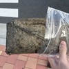 財布を落として3年後…まさかの奇跡に24万いいね「本当に戻ってきた!?」「金運エグすぎ」