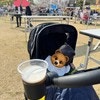 ママの至福！赤ちゃんとお散歩中“偶然見つけたビール”にご褒美だと1700いいね「最高ですね」「みーんな幸せ」