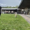 すれ違う人たちから100回の「かわいい」愛犬の写真に3.3万いいね「かわいいもん」「わたしもすれ違いたい」