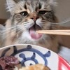 【反則級のかわいさ】猫に焼き芋あげたら、次の瞬間→“至高の表情”にキュン～！2万人が悶絶した写真