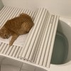 お風呂のフタがちょっとしか開かない…“その理由”に8.5万いいね「うちでも毎晩これ」「冬の定位置」