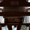 椅子の上で両手を広げ、ラスボス感を出してくる息子に17万いいね「神々しい」「かわいすぎて悶絶」