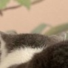 週の始まりにおしりチャージ！「けつようび」に5万いいね