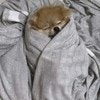あまりに赤ちゃん…「エケチェン」の正体に9.1万いいね