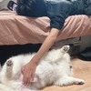 子ども×愛犬の“夏休みモード”が「幸せすぎる」と話題3.8万いいね「俺もこれになりたい」
