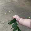かわいすぎる！【人生初】かわいいおててで達成したことに「たまらない」と3300いいね