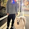 「パレード状態」犬用首輪を自ら装着!? 愛犬に拒否された飼い主がとった“まさかの行動”