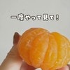 今すぐ試したい！スプーンの持ち方をきれいにする裏技ワザ！みかんの筋をきれいに剥く裏技！など