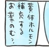 ストレス、睡眠不足、不妊の要因だらけの私。医師から薬を飲むかと聞かれて…｜不妊大国ニッポン