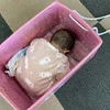 0歳児が初めての児童館で【爆睡】寝ている場所がキュートすぎて3万いいね「ほっこり」「かわいい」