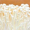 【料理家が投稿】材料はえのきオンリー！ポン酢で和えて「なめたけ風」→簡単絶品レシピに1400いいね