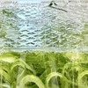 もうベチャベチャにしない！刻みネギを長持ちさせる保存法に9,744いいね「良いこと知った」「やってみます」