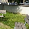 公園のベンチ前に【落書き】→思わず「消えないで」と思った芸術に1万いいね「色のバランスがいい」