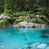 「怖くなるくらい美しい」水質日本一【仁淀川】の透明度→写真投稿に1万いいね「行ってみたい」