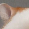 【思わず二度見】ほっぺが完全にハムスターだった件に8.9万いいね「ラブリーが詰まってる」「実はカリカリを…？」