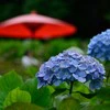 土砂降りの中、ずぶ濡れで歩く男の子を発見→手元を見て震えた“男児あるある”な光景に4.3万いいね「これが男児」「わろた」