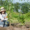 「野菜タダはありがたいけど」夫の”趣味"に巻き込まれ…苦痛な妻のリアルな悩み